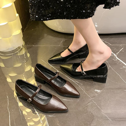 Heel Jane Mary Pointy Shoes Chunky