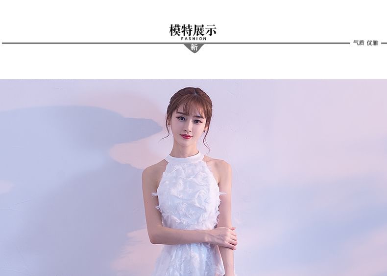 Evening Gown A-Line Halter-Neck Feather