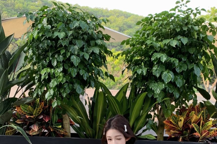 Print Spaghetti Floral Dress Mini A-Line Strap Shirred