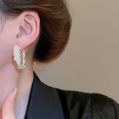 Alloy (Various Hoop Earring Designs) Twisted