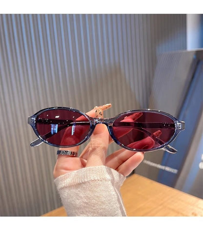 Cleaning Plastic Pouch Set Cloth Case Oval / Frame Sunglasses