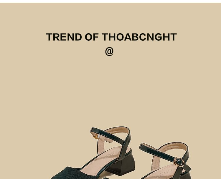 Chunky Sandals Heel Pointed