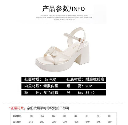 Block Heel Buckled Platform Sandals