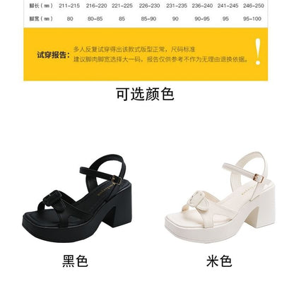 Block Heel Buckled Platform Sandals