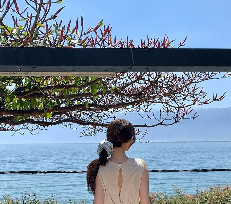 Crew Top Knit Sleeveless Plain Neck Ribbed