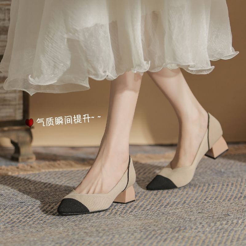 Heel Pointed Chunky Pumps