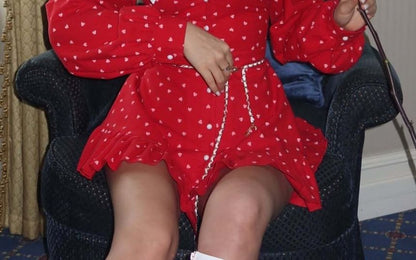 Mini Contrast A-Line Dress Ruffle Button-Up Collar Long-Sleeve Hem