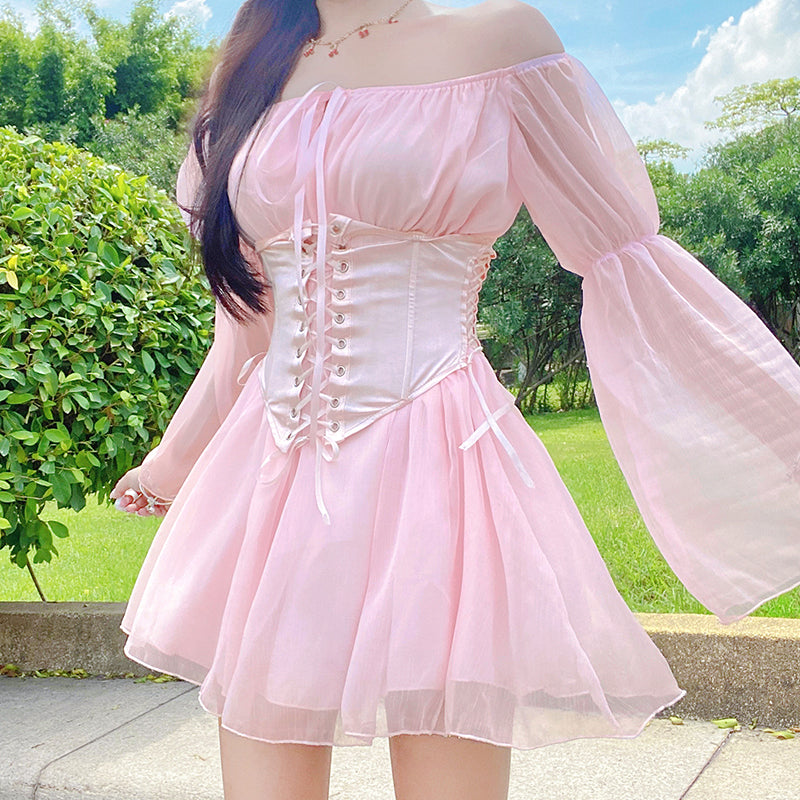 Fairy Dress and Corset Set Wonderland Case Fairy Dress and Corset Set Wonderland Case