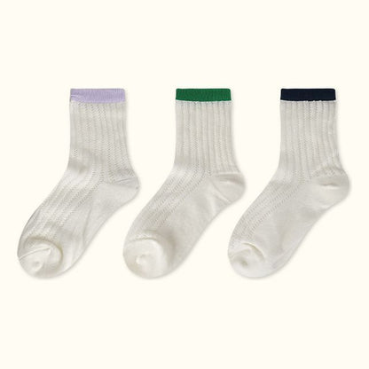 Contrast Trim Pointelle Knit Socks / Set