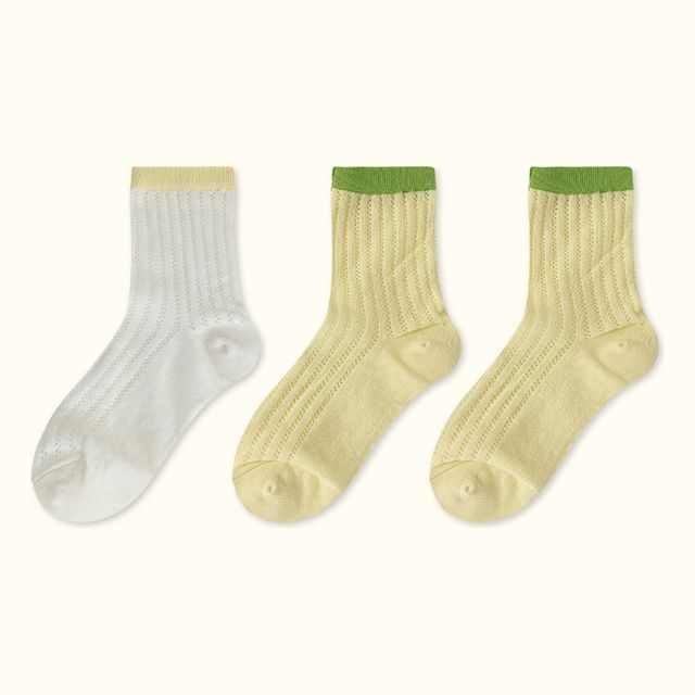 Contrast Trim Pointelle Knit Socks / Set