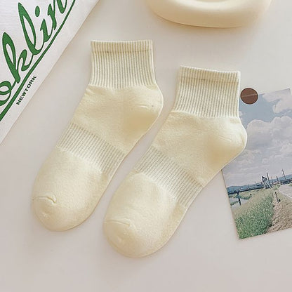 Set of 3 Pairs: Plain Ribbed Socks