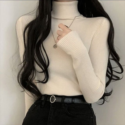 Long-Sleeve Turtleneck Plain Ribbed Knit Top