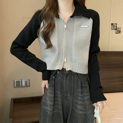 Cardigan Two-Tone Zip Polo