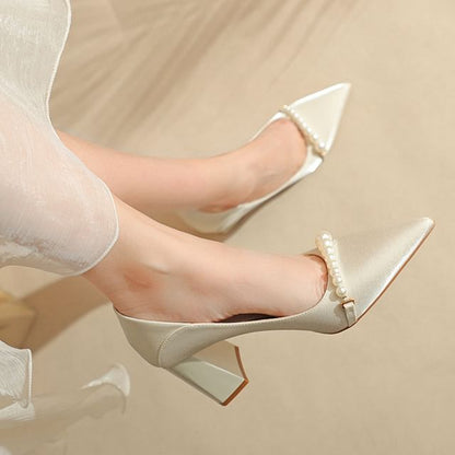 Pointy High Heel Pumps