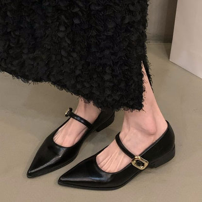 Pointy Shoes Toe Mary Jane