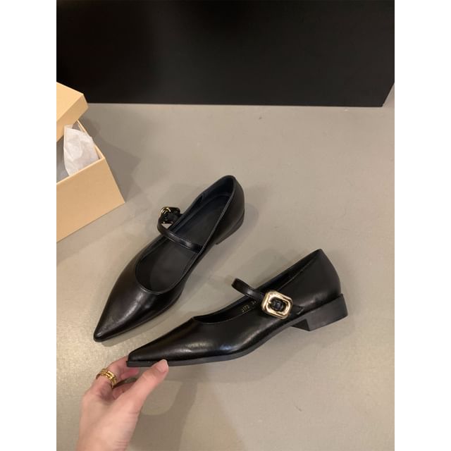 Pointy Shoes Toe Mary Jane