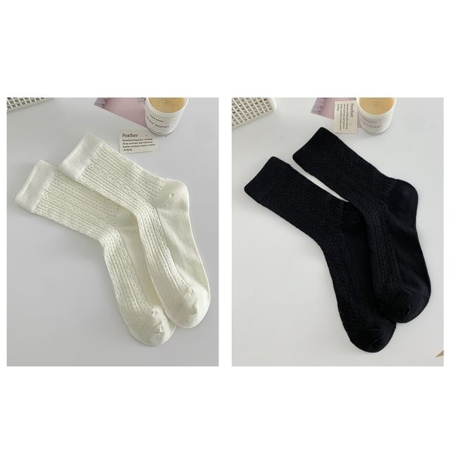 Plain Pointelle Knit Socks / Set