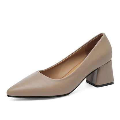 Pumps Pointed Heel Block