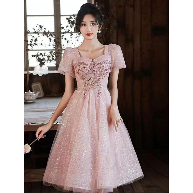 Evening Gown Glitter A-Line Short-Sleeve Dress / Mesh