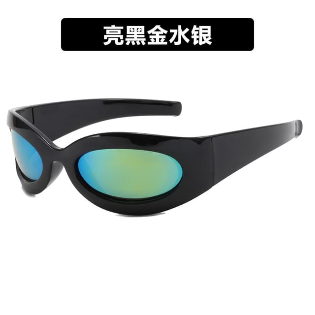 Thick Rimmed Oval Sunglasses