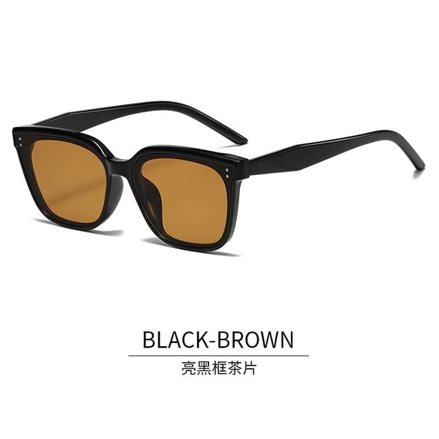 Square Sunglasses Plain
