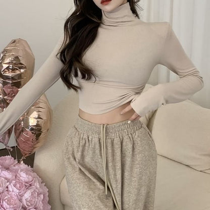 Long Sleeve Turtleneck Plain Crop Tee