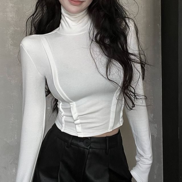 Long Sleeve Turtleneck Plain Crop Top