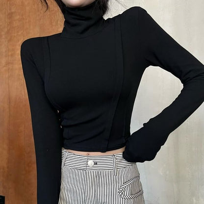 Long Sleeve Turtleneck Plain Crop Top