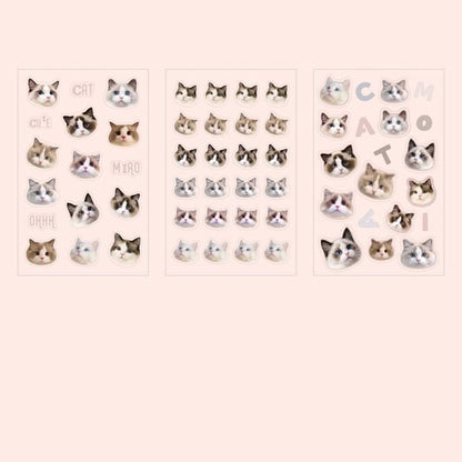 Cat Sticker