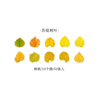 Leaf Masking Tape