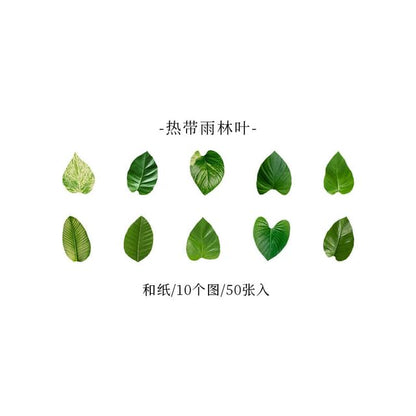 Leaf Masking Tape