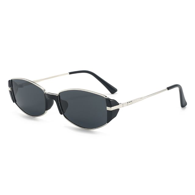 Sunglasses Metal Panel