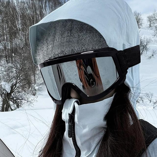 Ski Goggles
