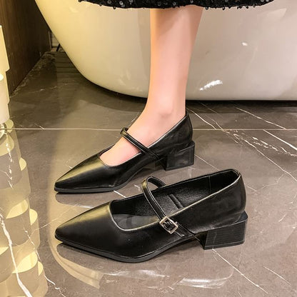 Heel Jane Mary Pointy Shoes Chunky