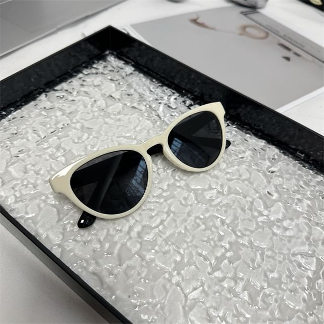 Eye Cat Sunglasses Plain