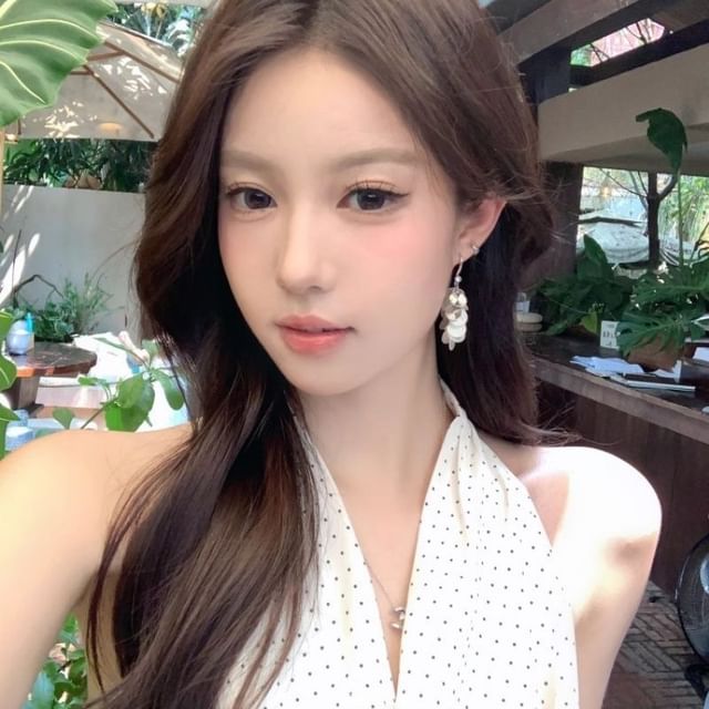 Disc Dangle Hook Shell Earring