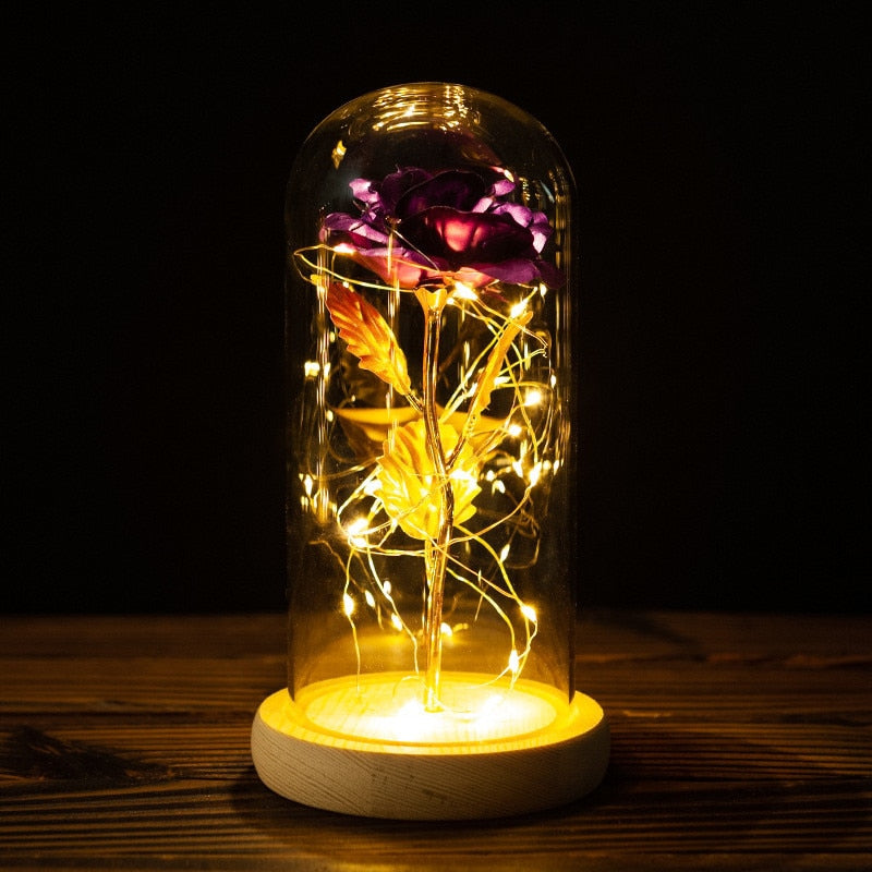 Rose LED Light In Glass Wonderland Case