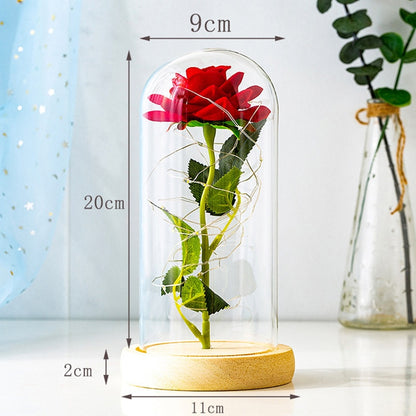 Rose LED Light In Glass Wonderland Case