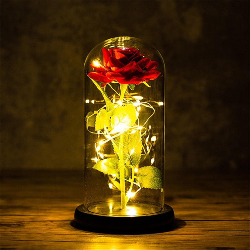 Rose LED Light In Glass Wonderland Case