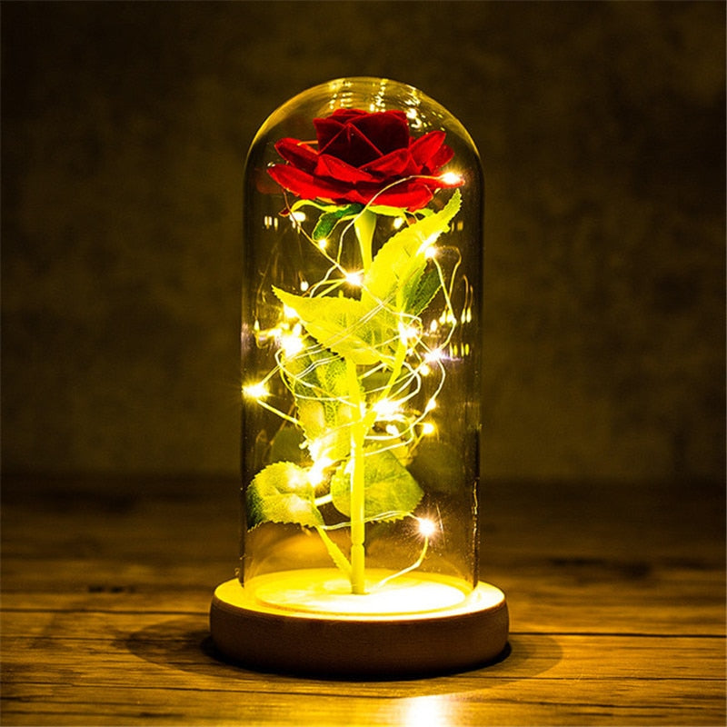 Rose LED Light In Glass Wonderland Case