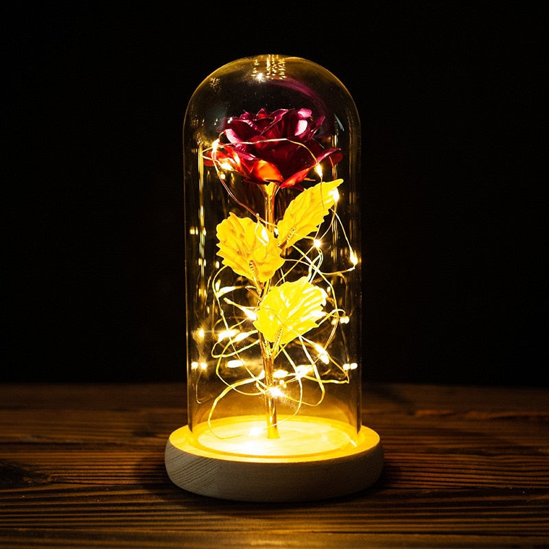 Rose LED Light In Glass Wonderland Case