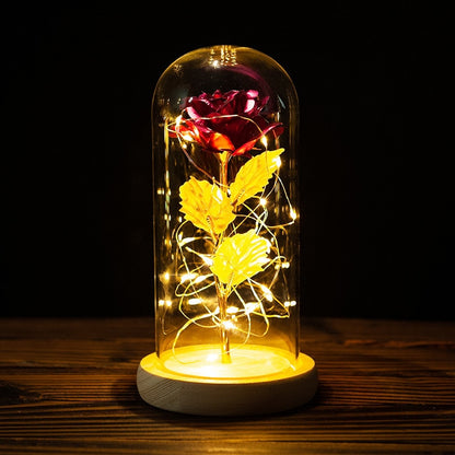 Rose LED Light In Glass Wonderland Case