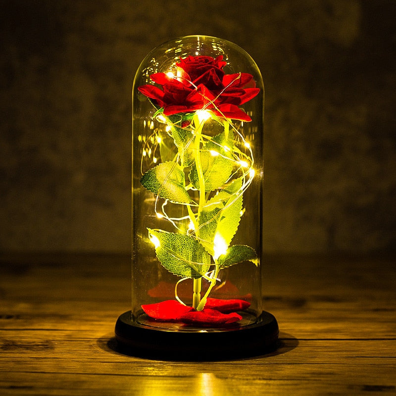 Rose LED Light In Glass Wonderland Case