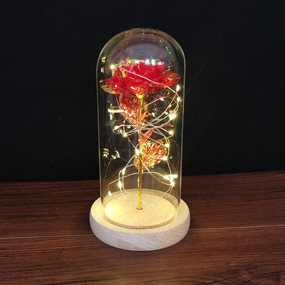 Rose LED Light In Glass Wonderland Case