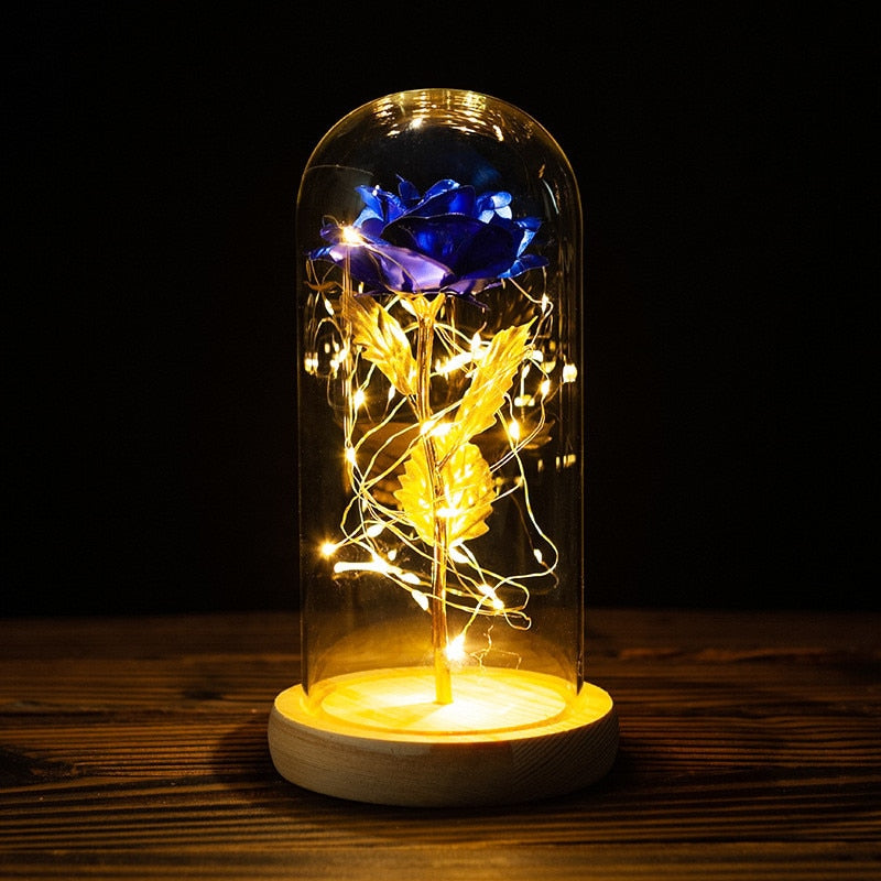 Rose LED Light In Glass Wonderland Case