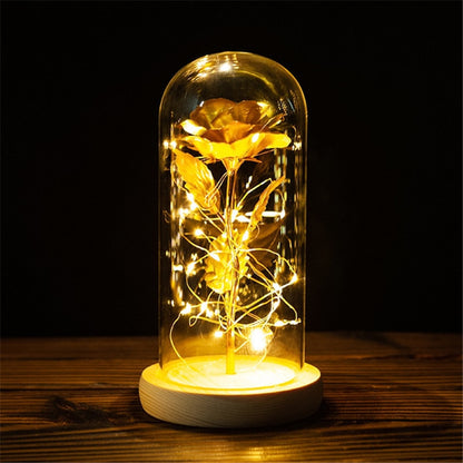 Rose LED Light In Glass Wonderland Case