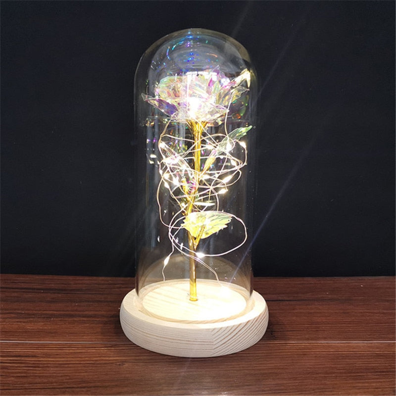 Rose LED Light In Glass Wonderland Case