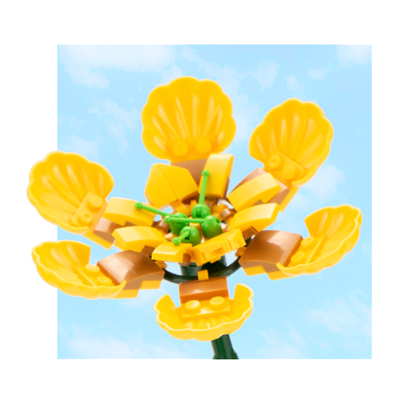DIY Flower Blocks - Kimi - Wonderland Case