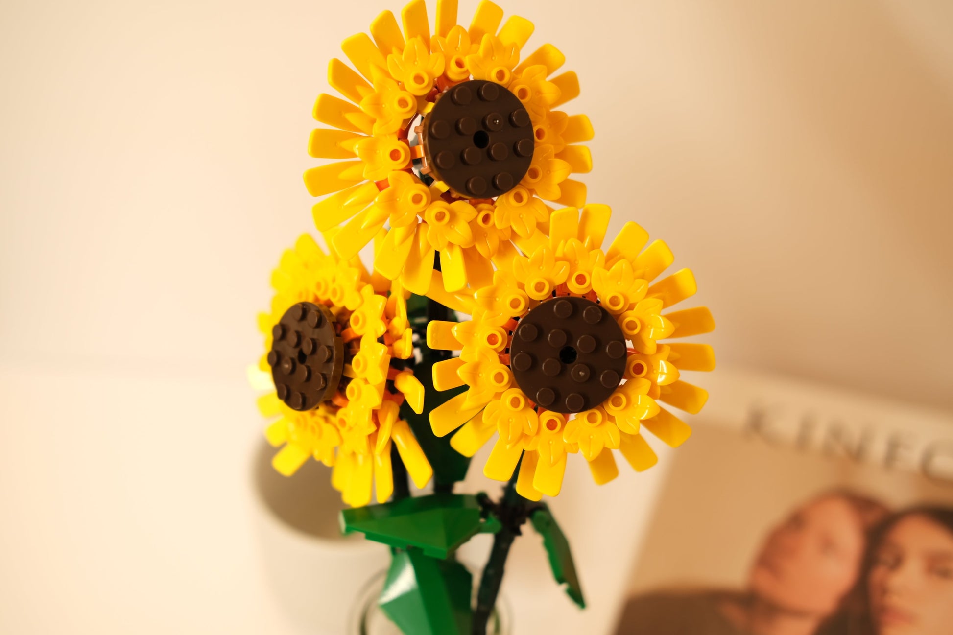 DIY Building Sunflower Blocks Wonderland Case