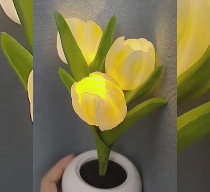 Tulips Table Lamp Led